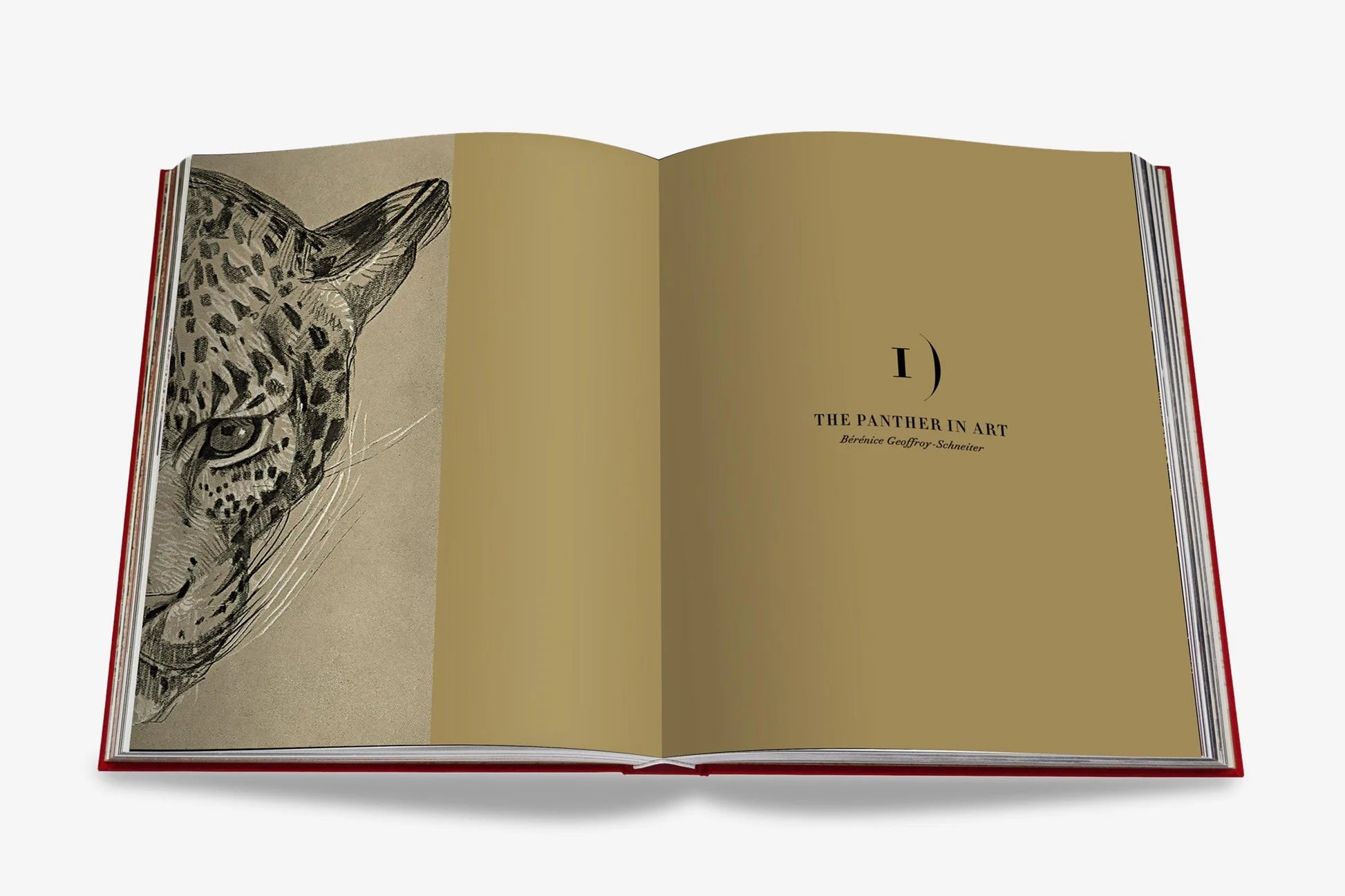 ASSOULINE Cartier Panthère