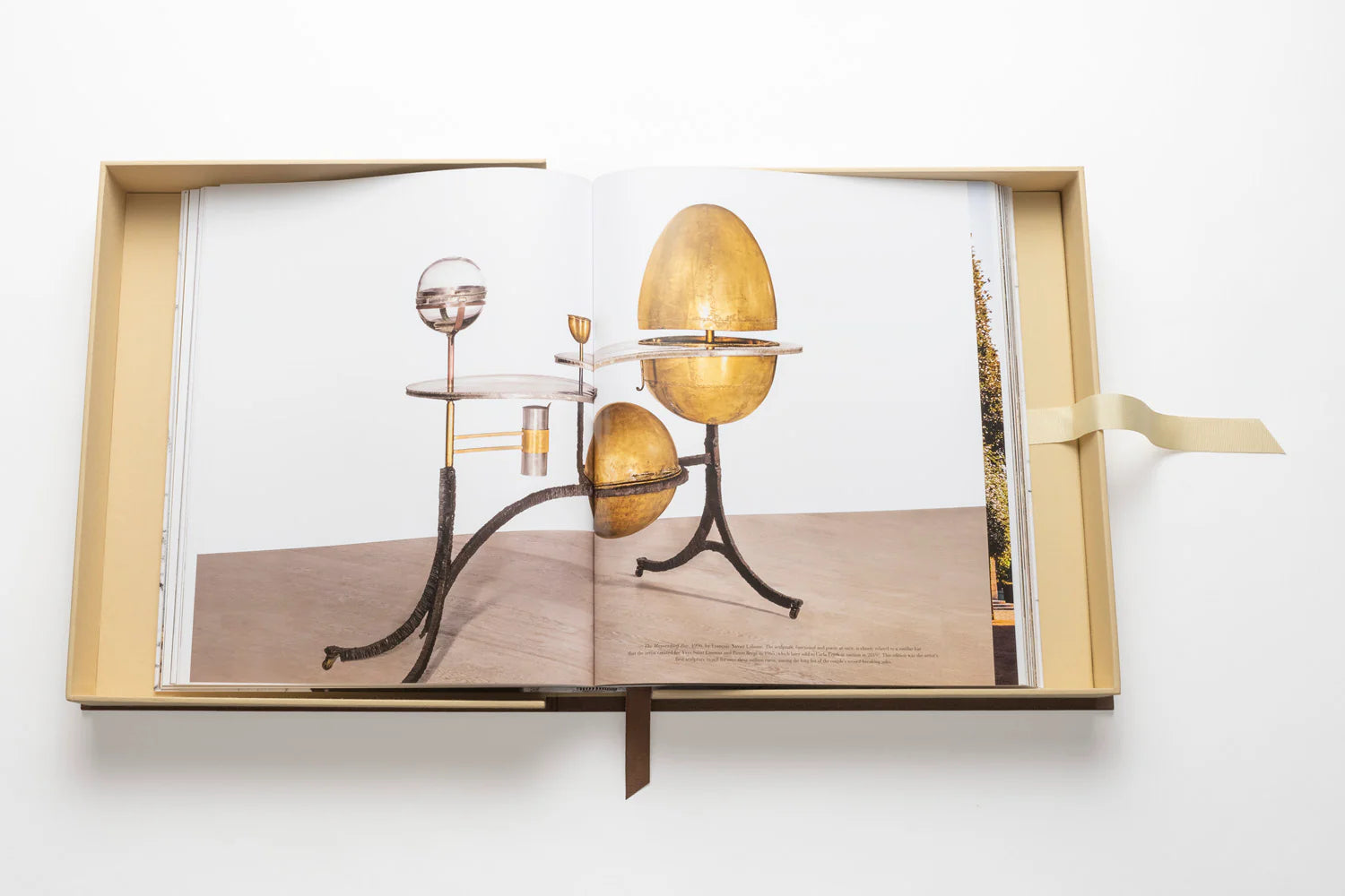 ASSOULINE Lalanne: A World of Poetry
