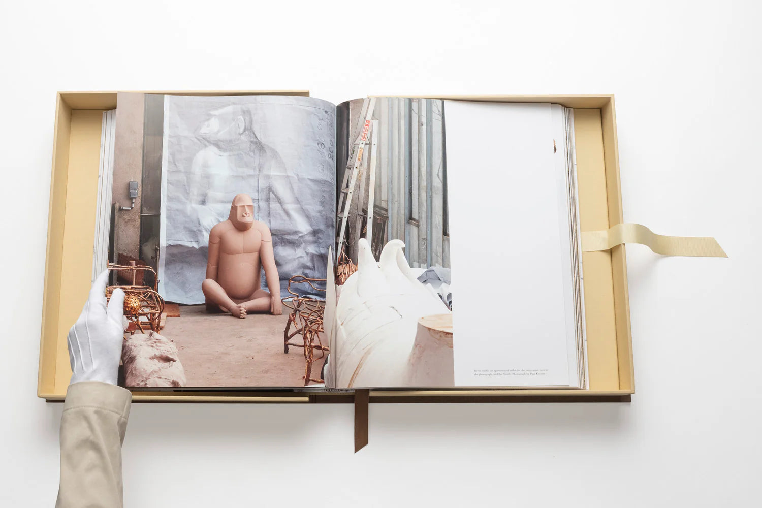 ASSOULINE Lalanne: A World of Poetry