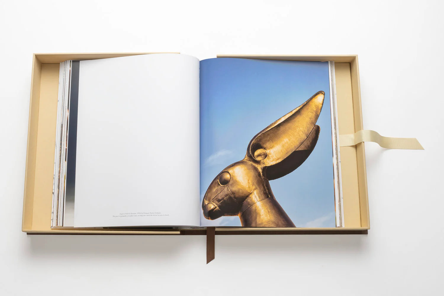 ASSOULINE Lalanne: A World of Poetry
