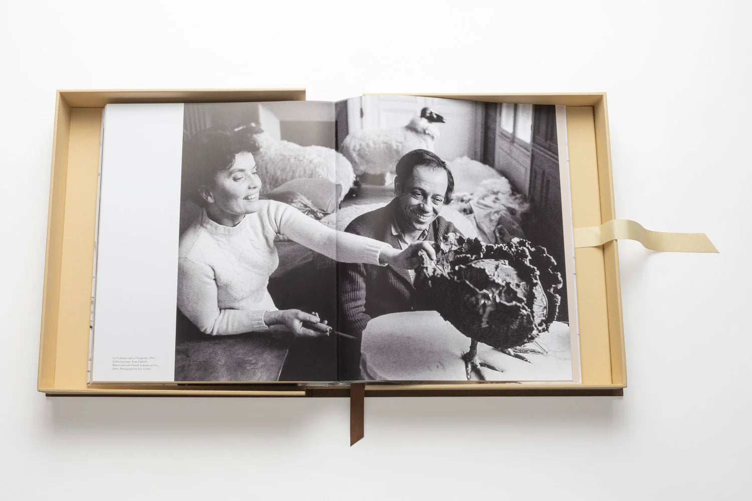 ASSOULINE Lalanne: A World of Poetry