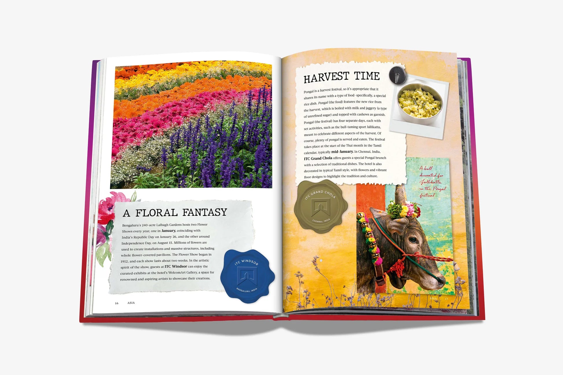 ASSOULINE The Luxury Collection: Extraordinary Celebrations