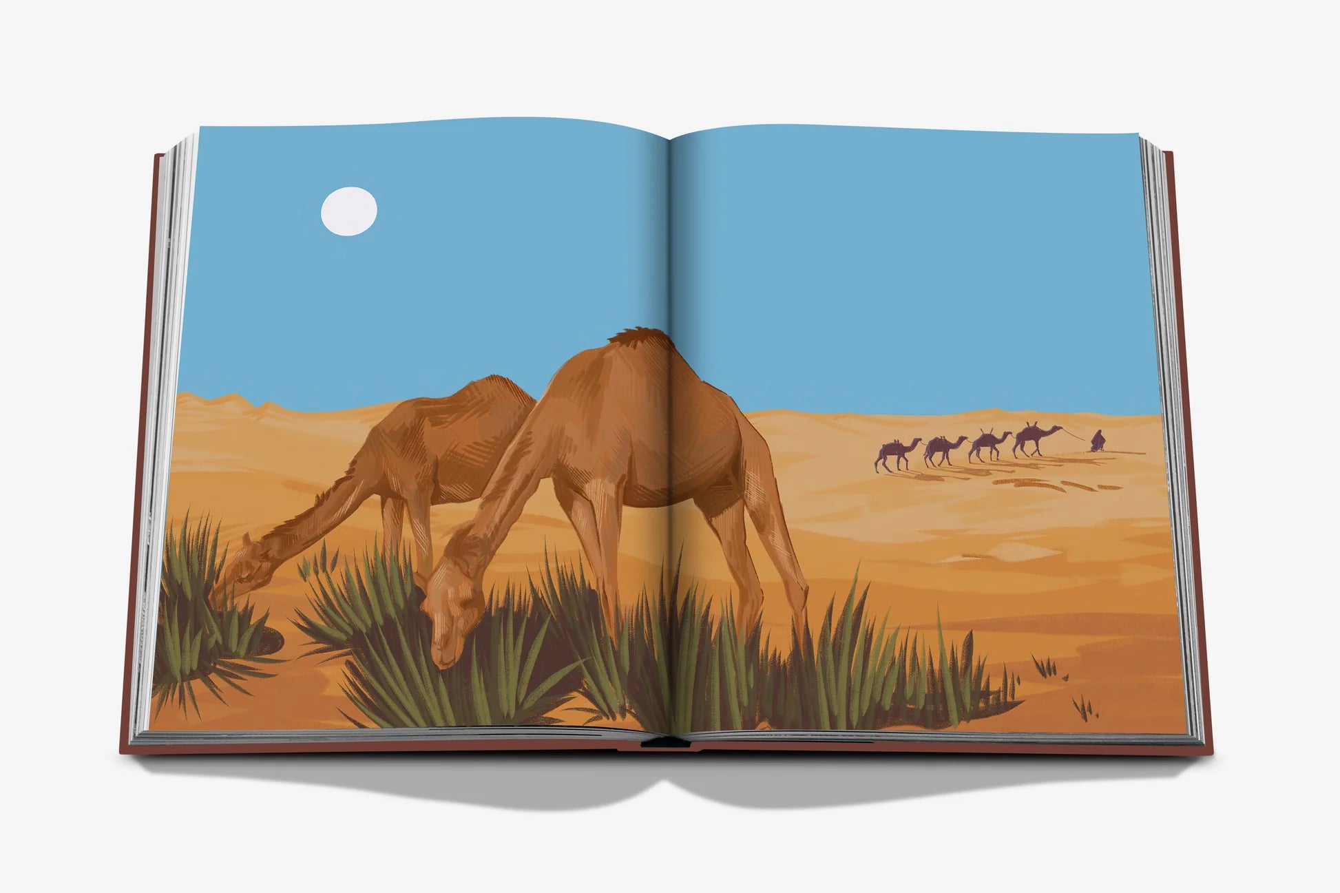 ASSOULINE Mleiha: Ancient Treasures of the UAE