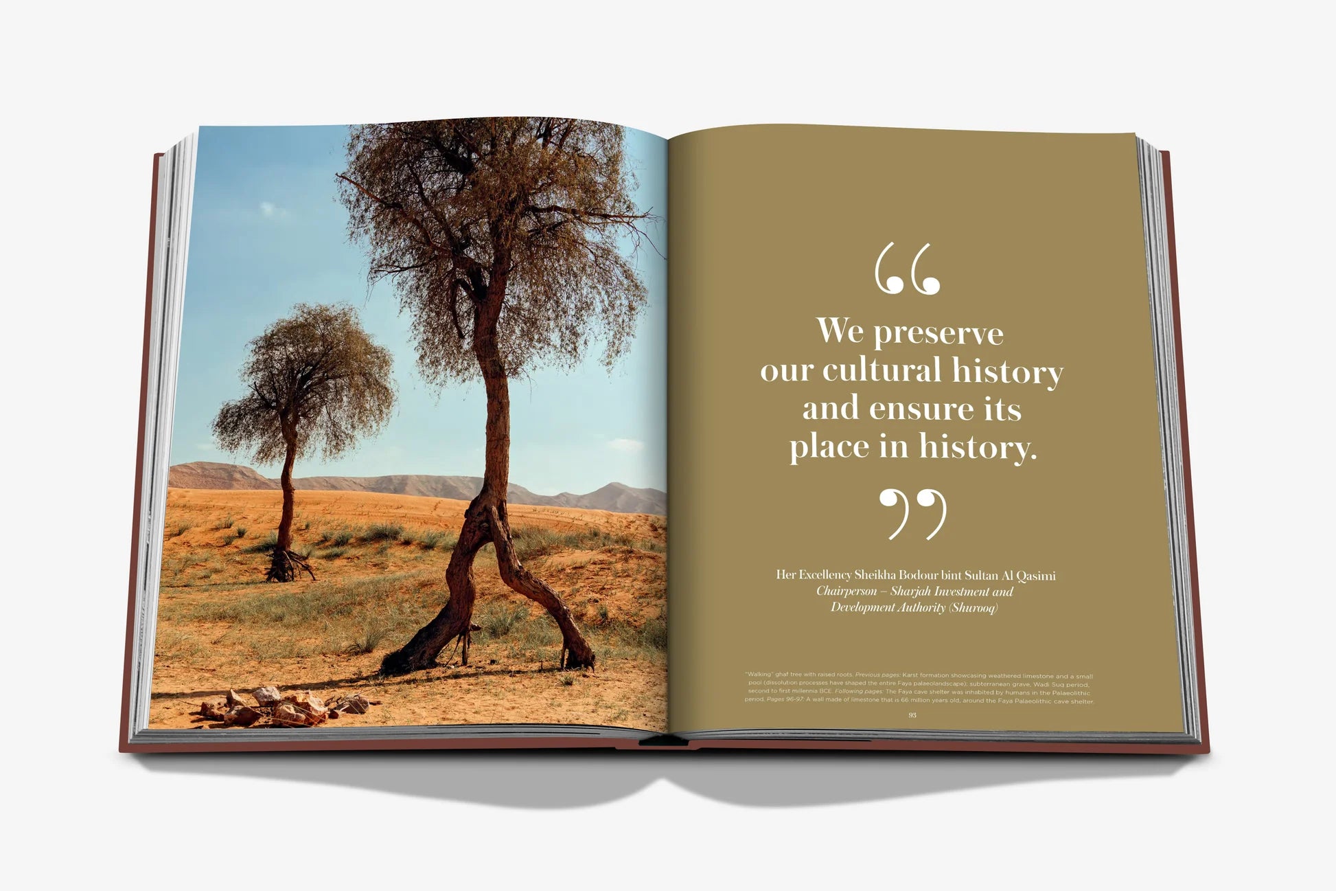 ASSOULINE Mleiha: Ancient Treasures of the UAE