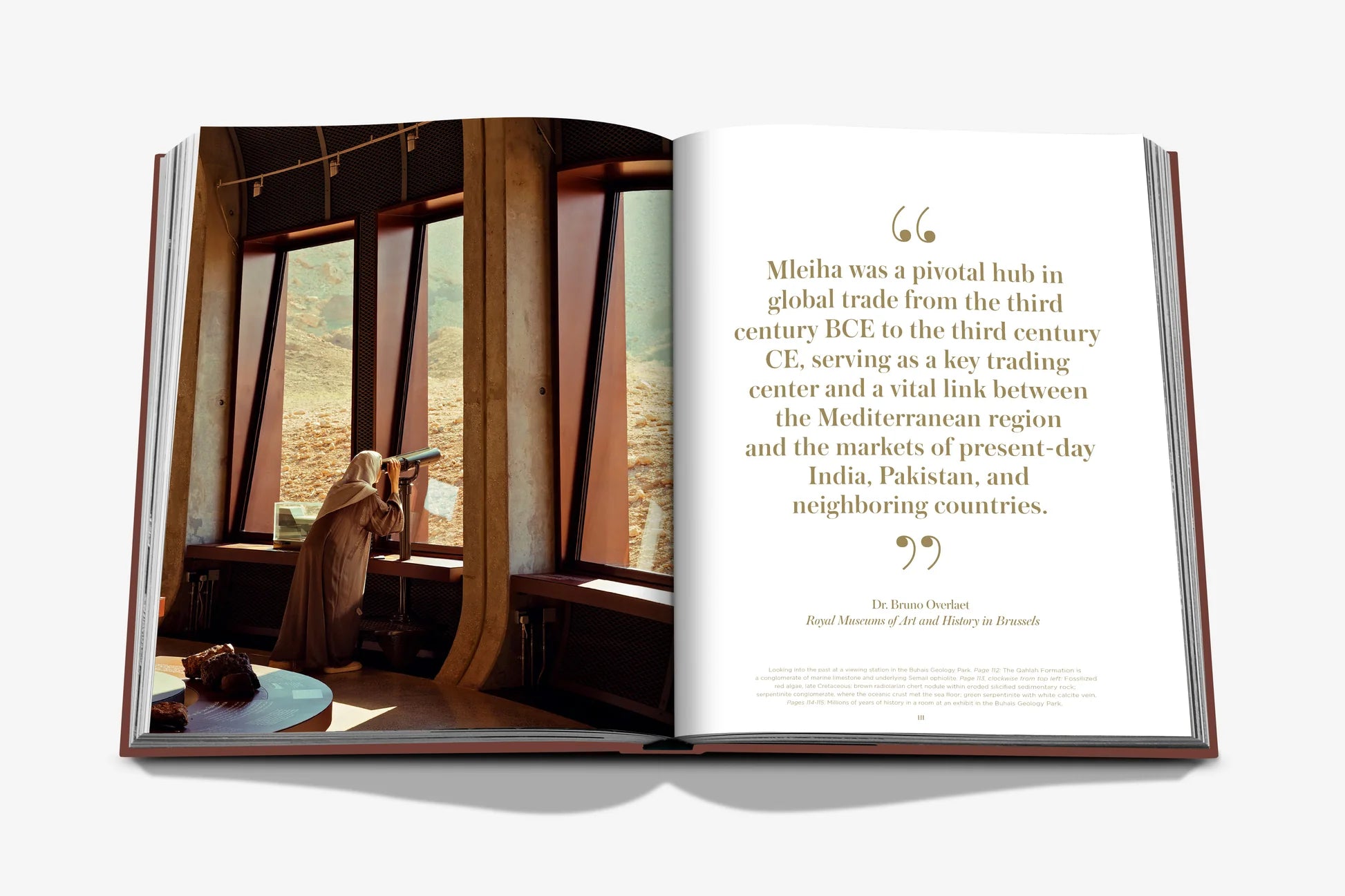 ASSOULINE Mleiha: Ancient Treasures of the UAE
