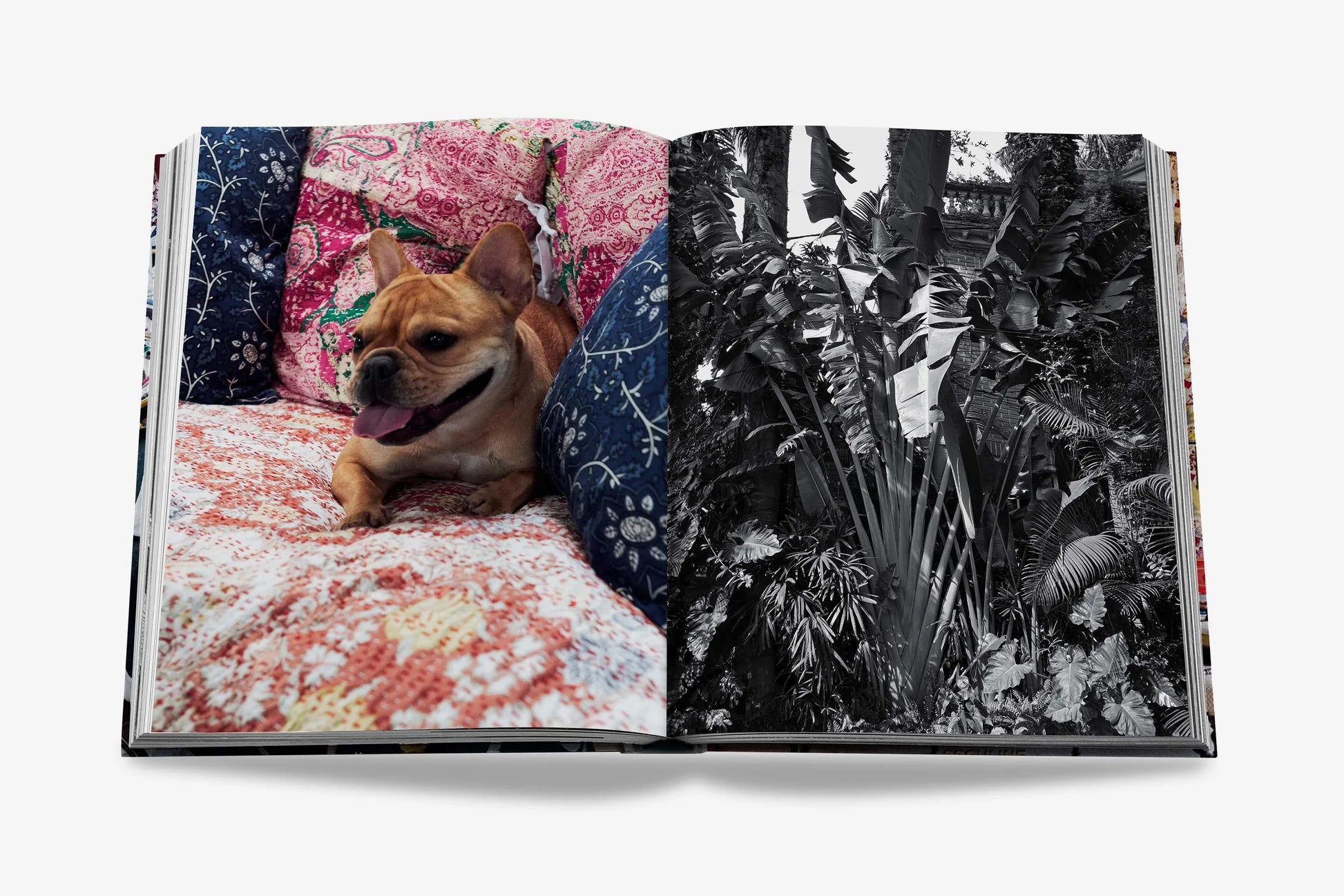 ASSOULINE Maximalism by Sig Bergamin