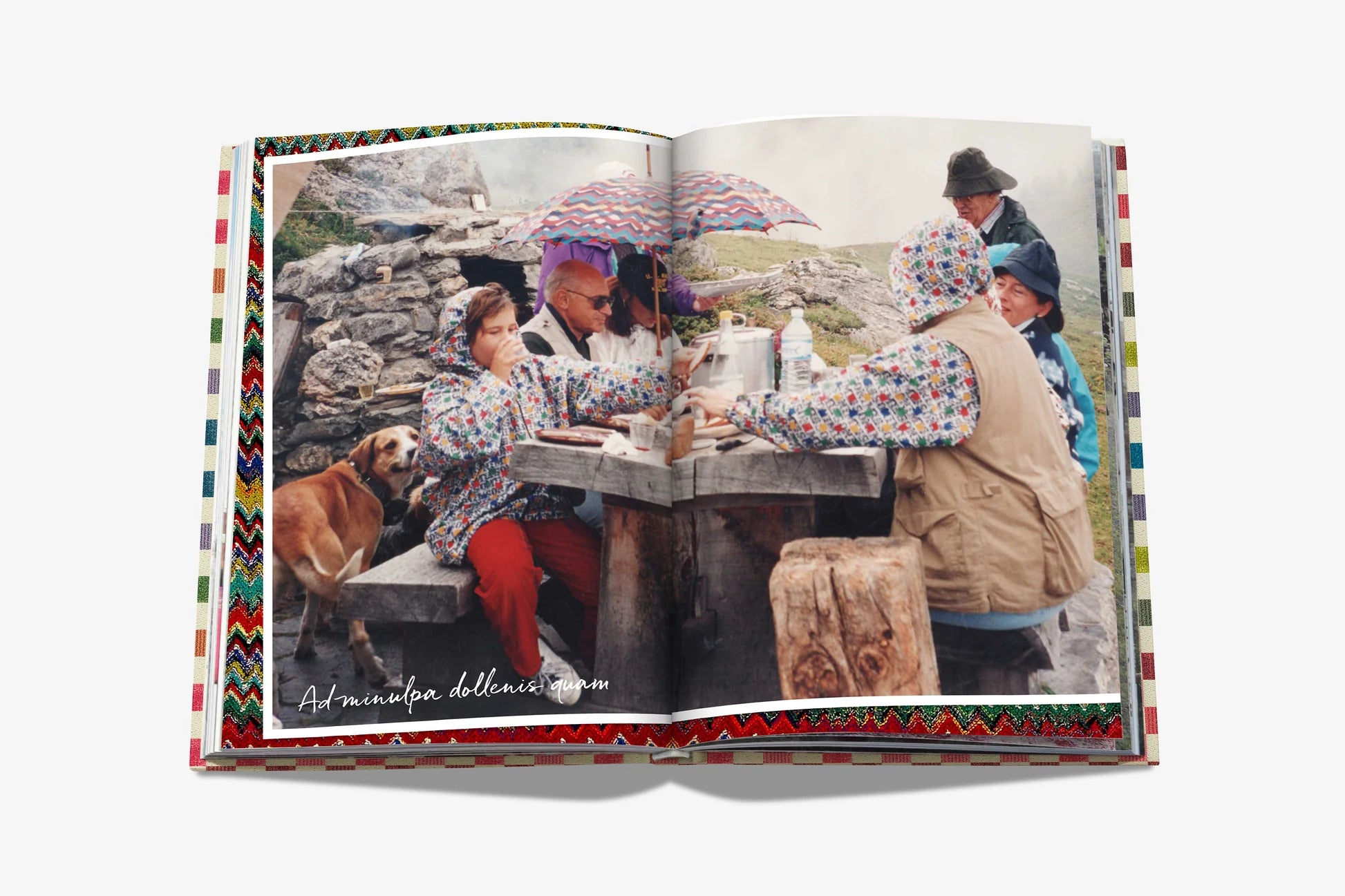 ASSOULINE The Missoni Family Cookbook