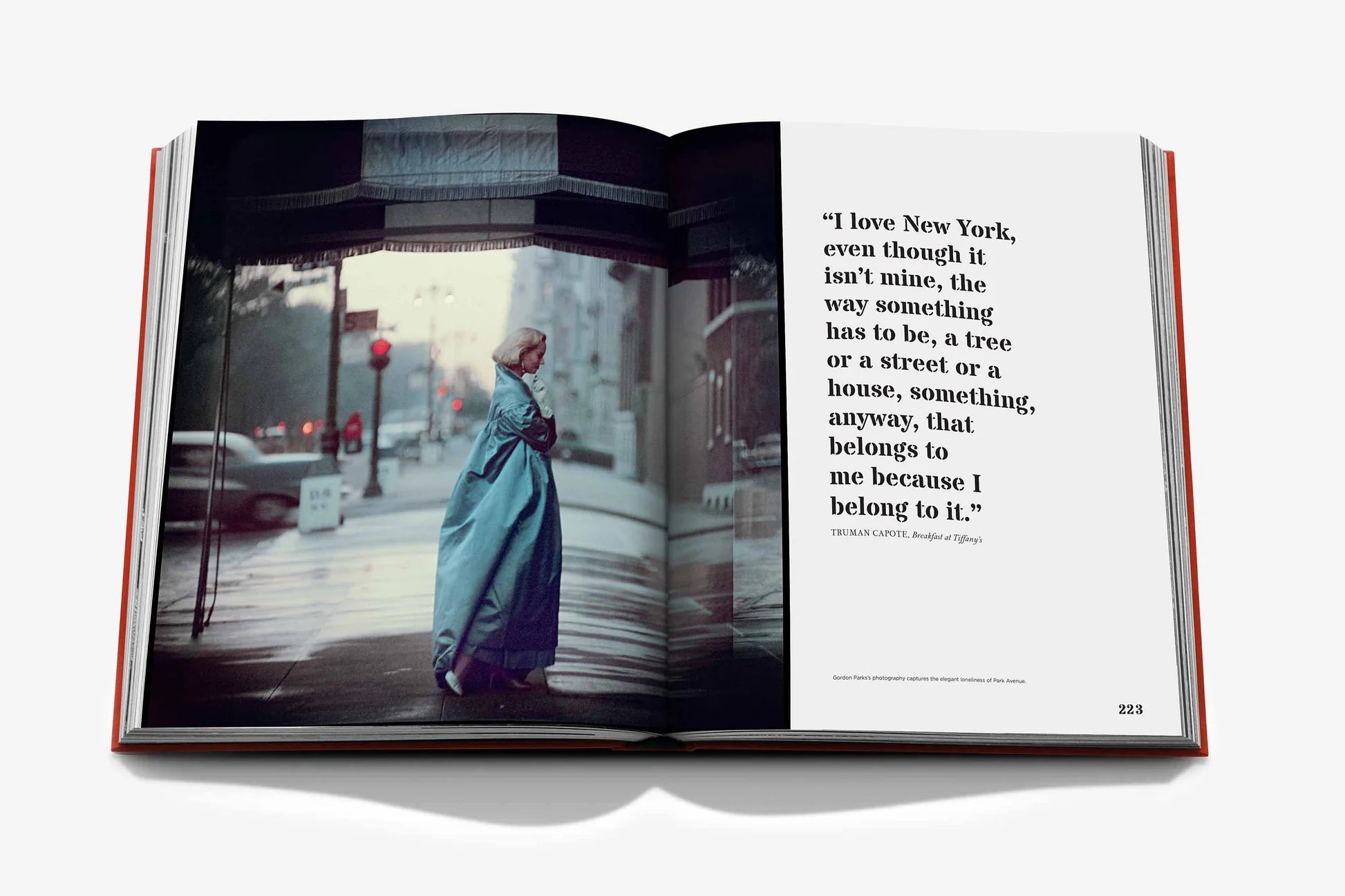 ASSOULINE New York by New York