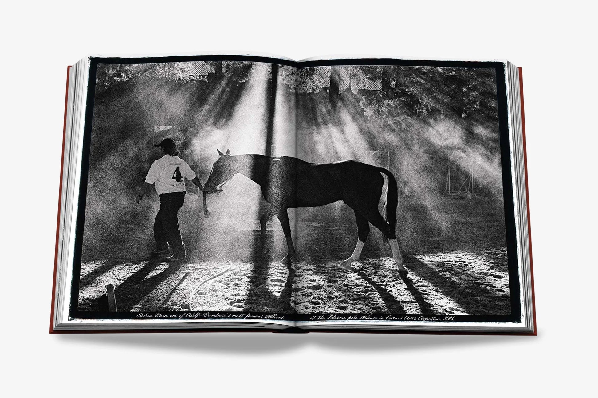 ASSOULINE Polo Heritage
