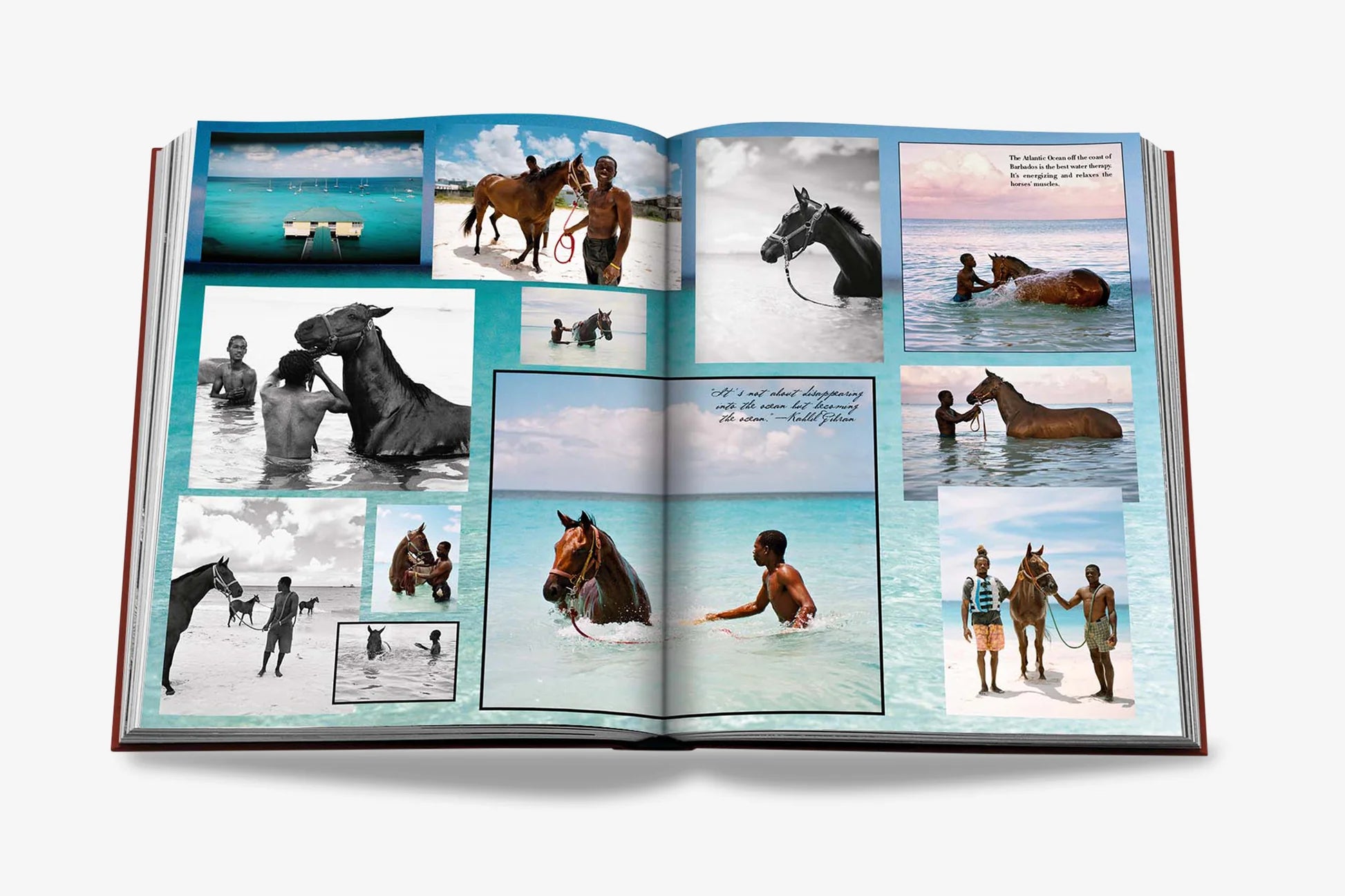 ASSOULINE Polo Heritage