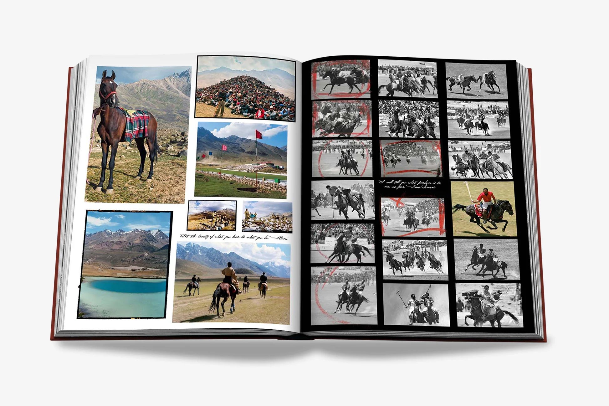 ASSOULINE Polo Heritage