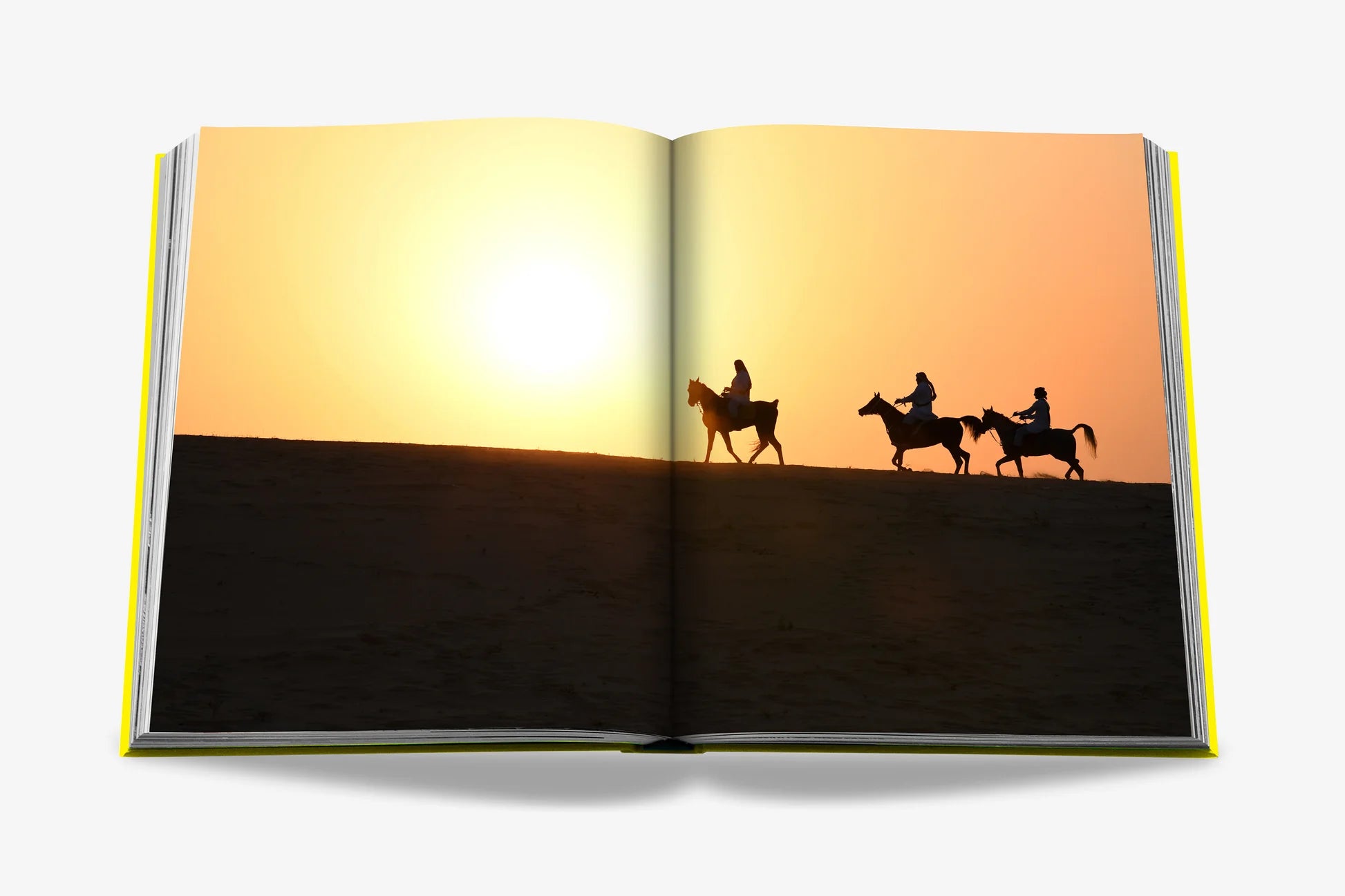 ASSOULINE Saudi Arabia: Al-Ahsa Oasis