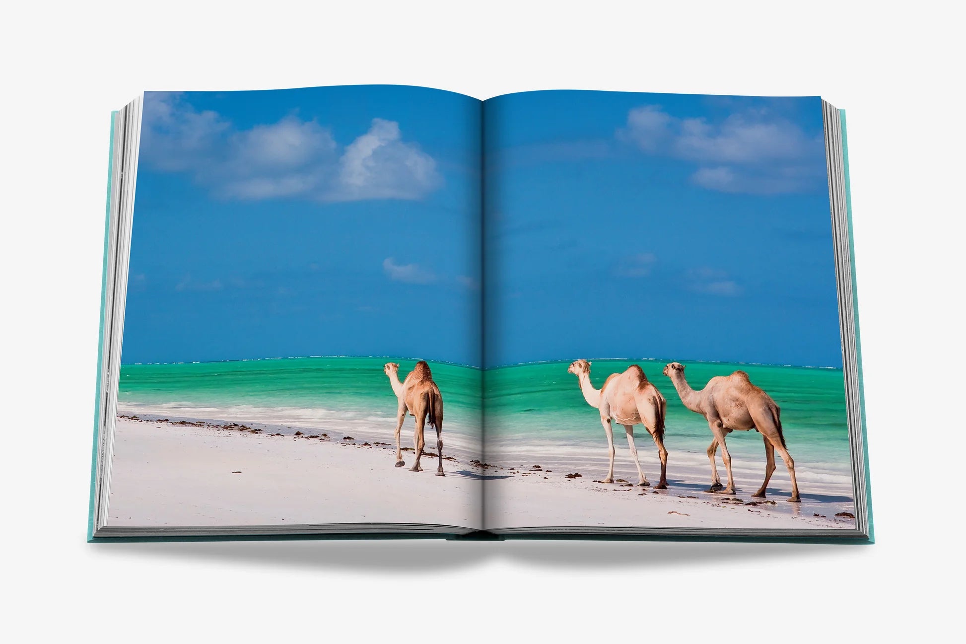 ASSOULINE Saudi Arabia: Red Sea, The Saudi Coast