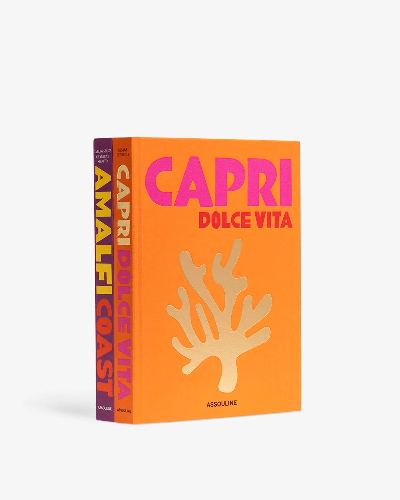 ASSOULINE Amalfi Coast and Capri Travel Series Gift Set