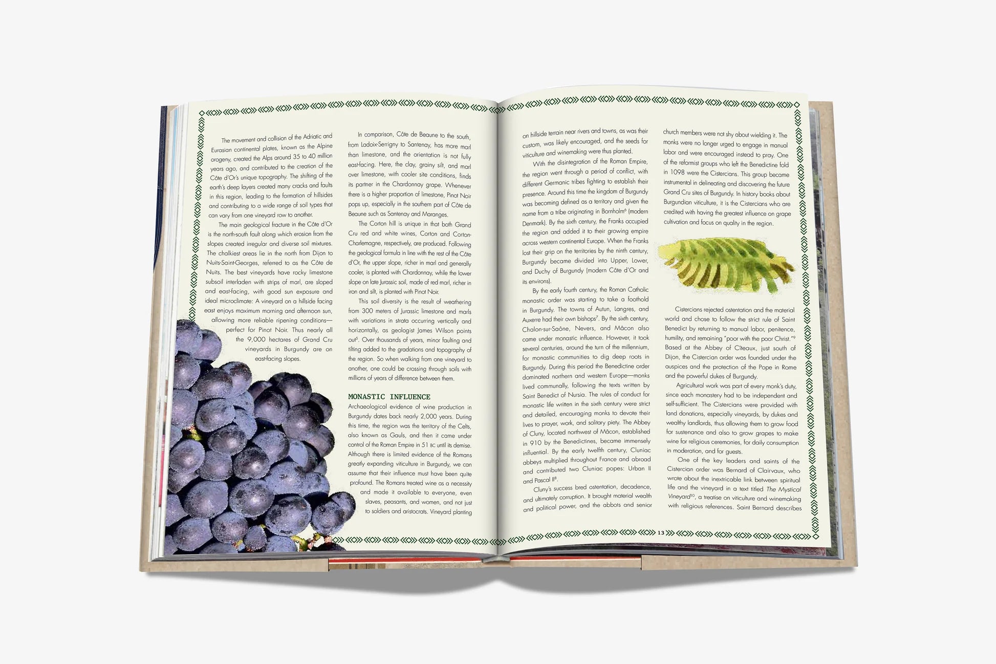 ASSOULINE The 100 Burgundy: Exceptional Wines to Build a Dream Cellar