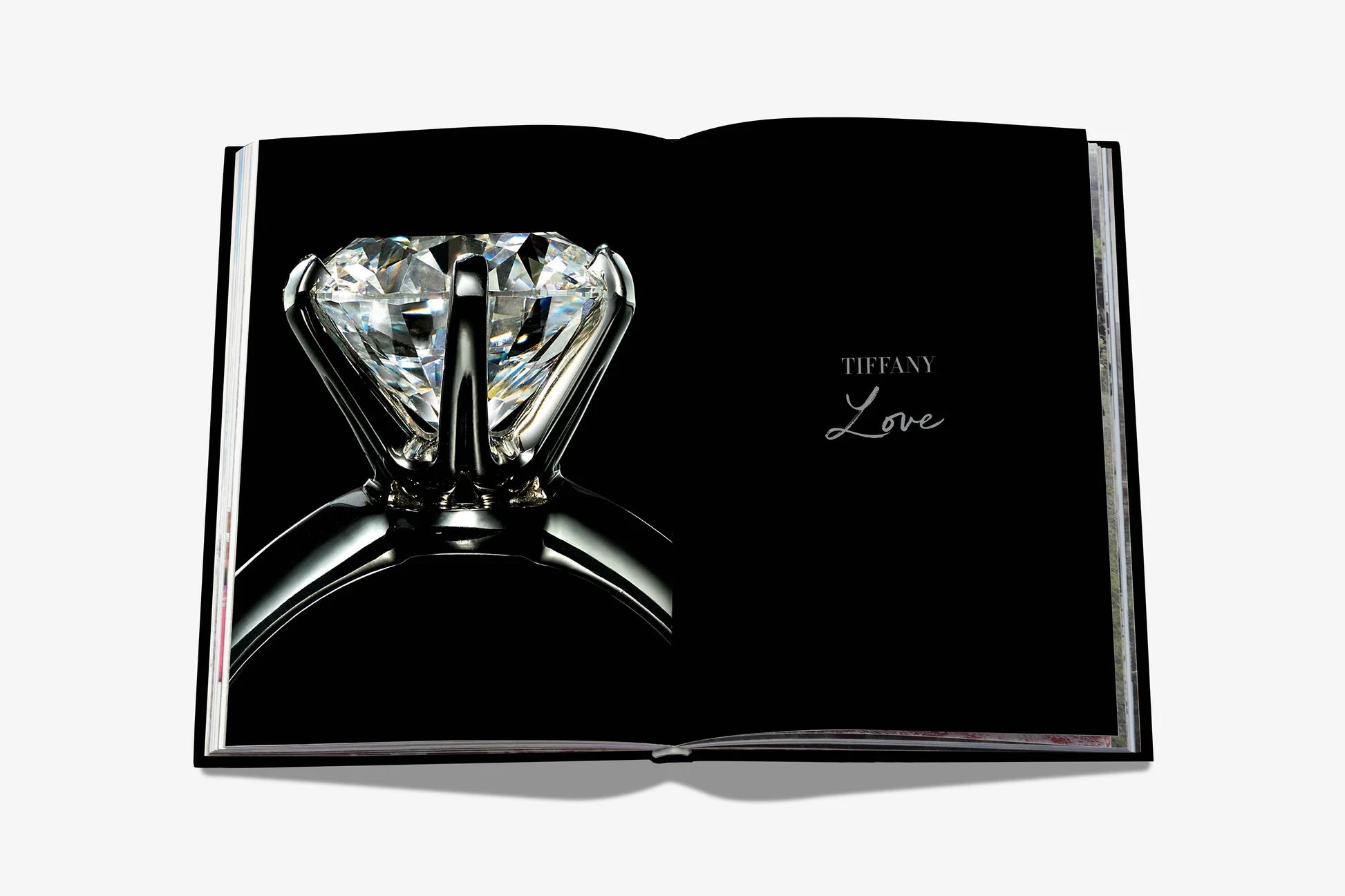 ASSOULINE Tiffany & Co. Vision and Virtuosity (Icon Edition)