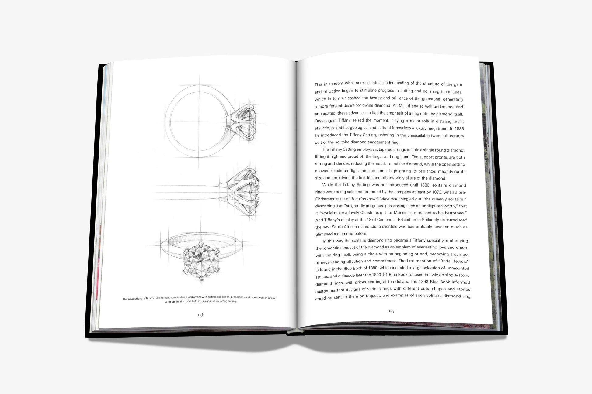 ASSOULINE Tiffany & Co. Vision and Virtuosity (Icon Edition)