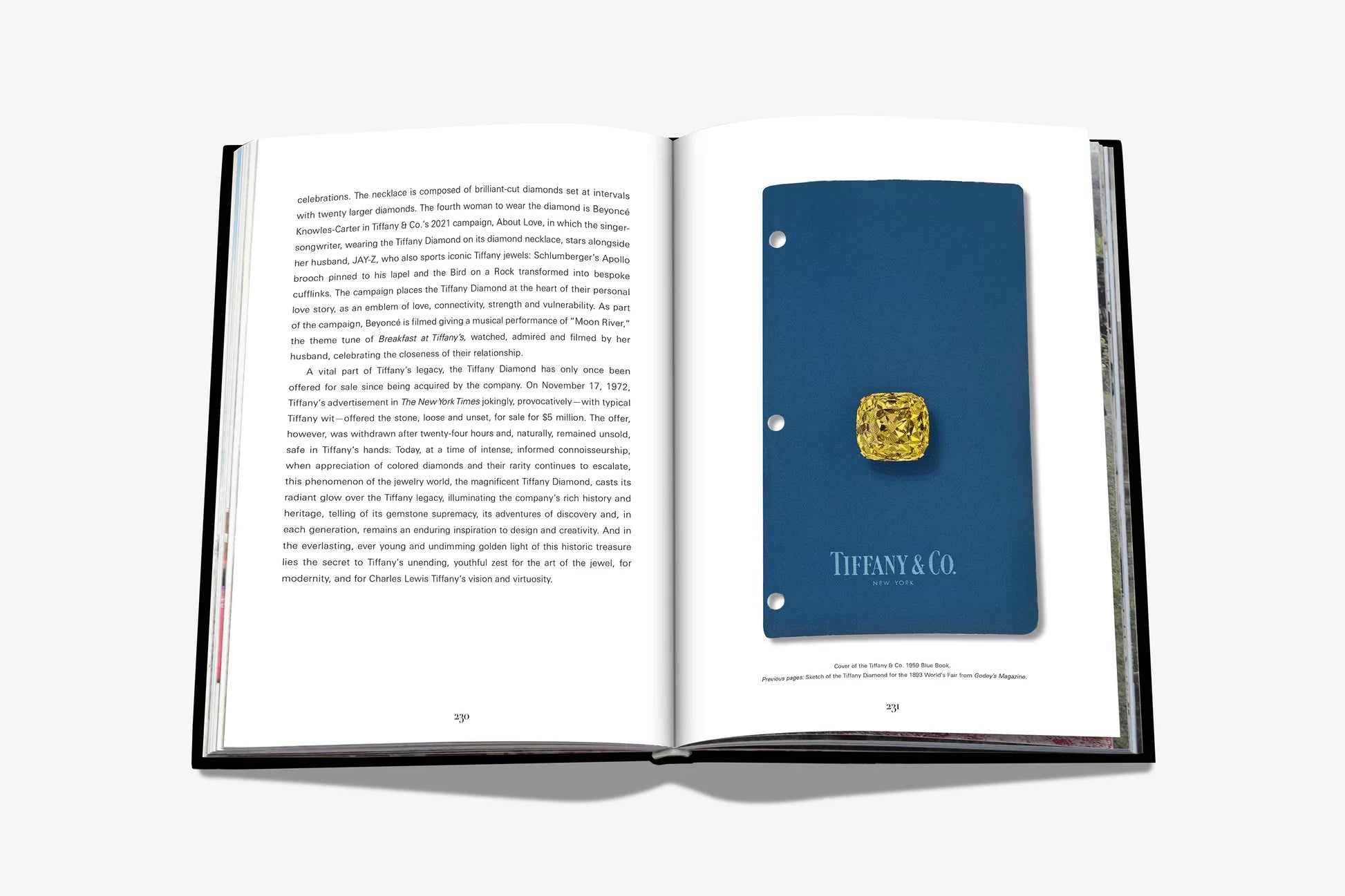 ASSOULINE Tiffany & Co. Vision and Virtuosity (Icon Edition)