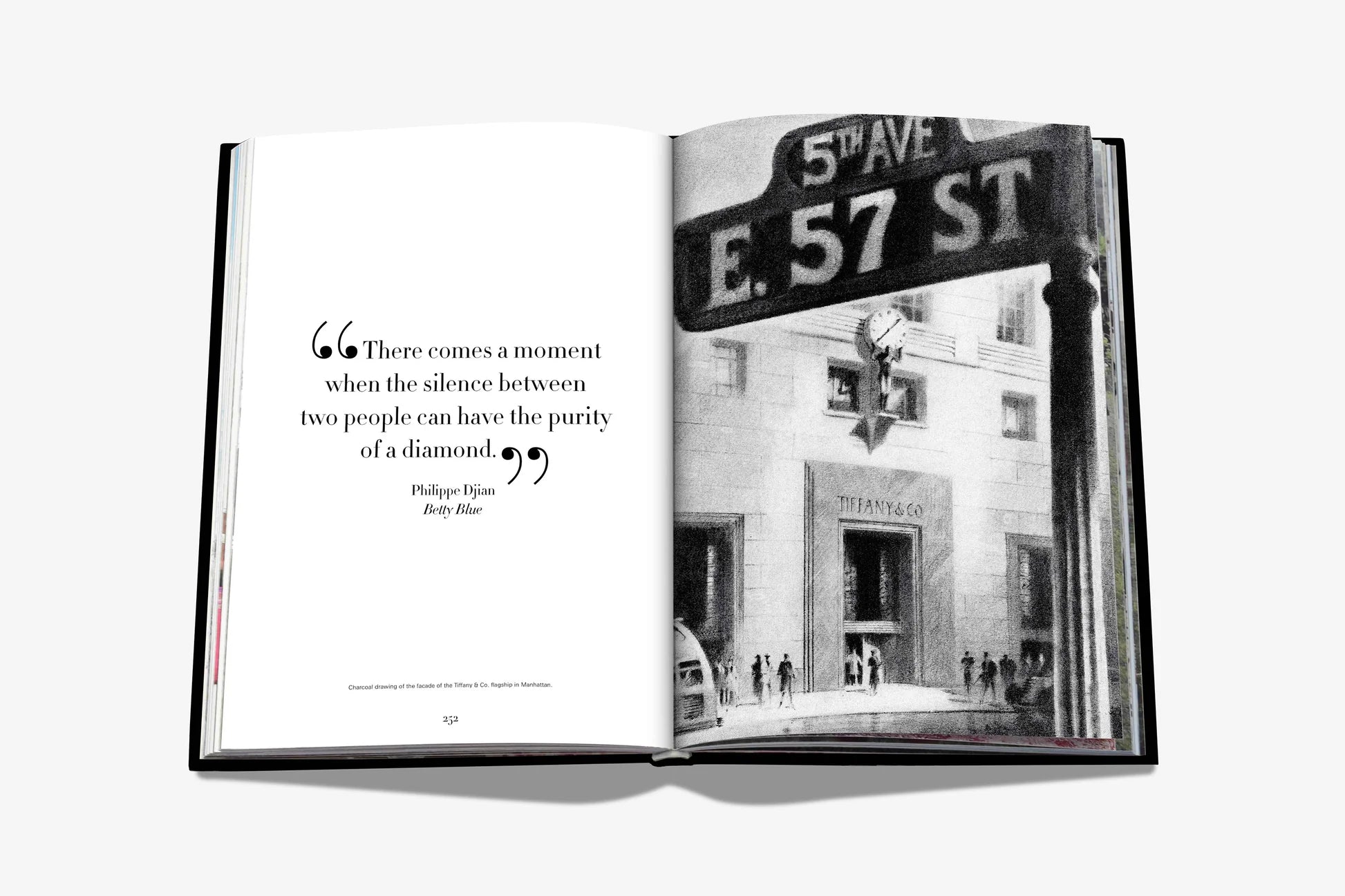 ASSOULINE Tiffany & Co. Vision and Virtuosity (Icon Edition)