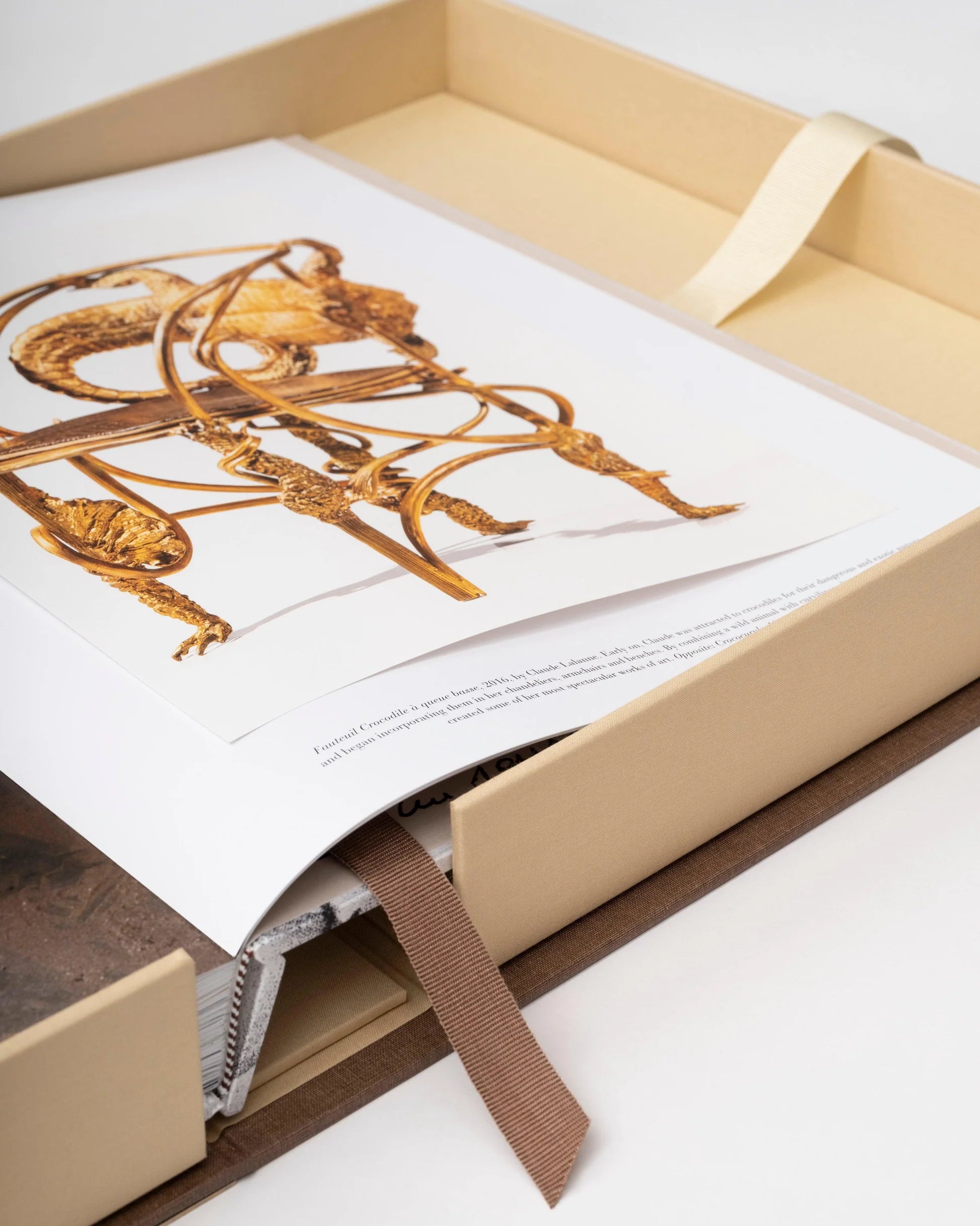 ASSOULINE Lalanne: A World of Poetry