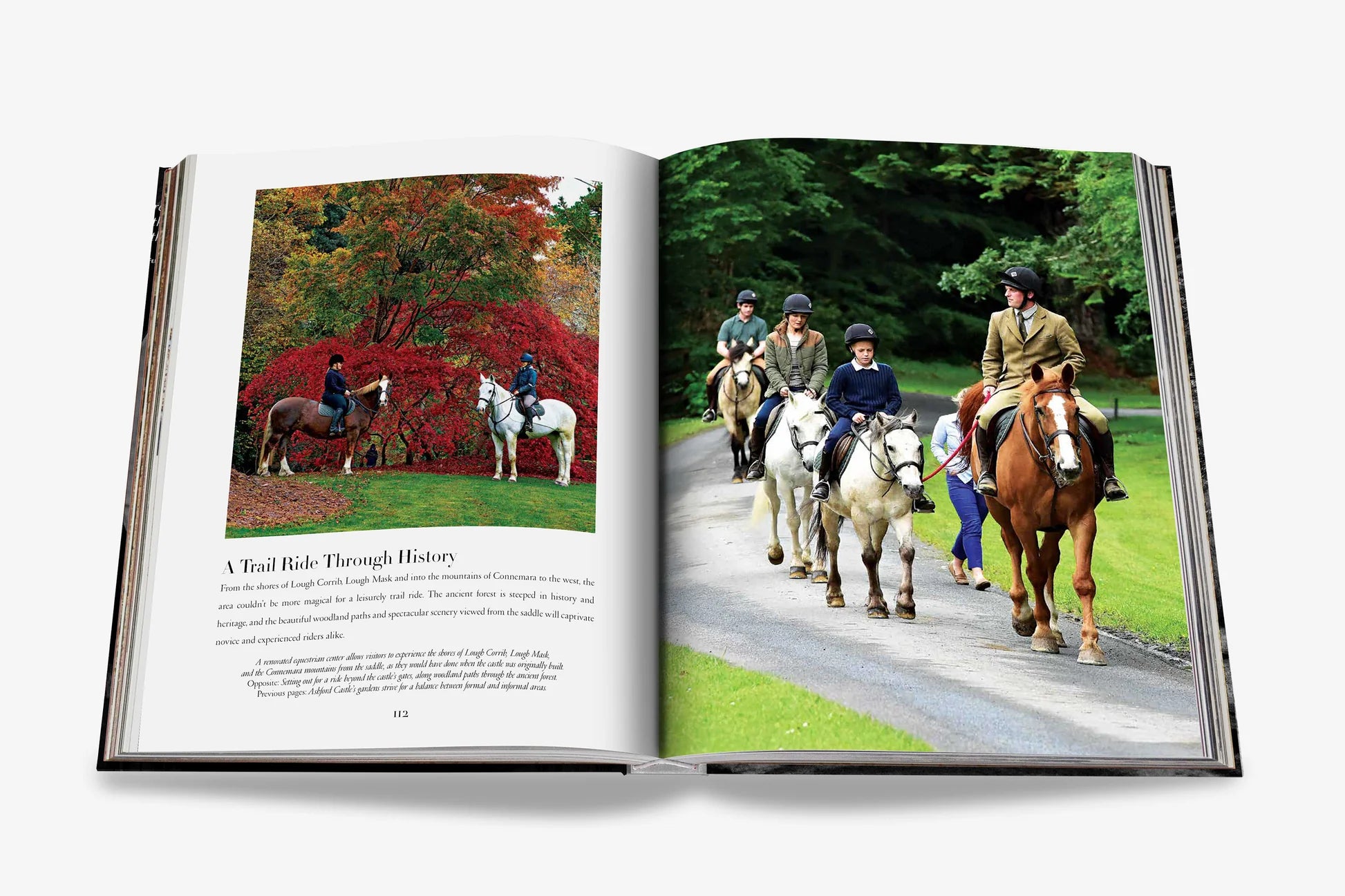 ASSOULINE Ashford Castle