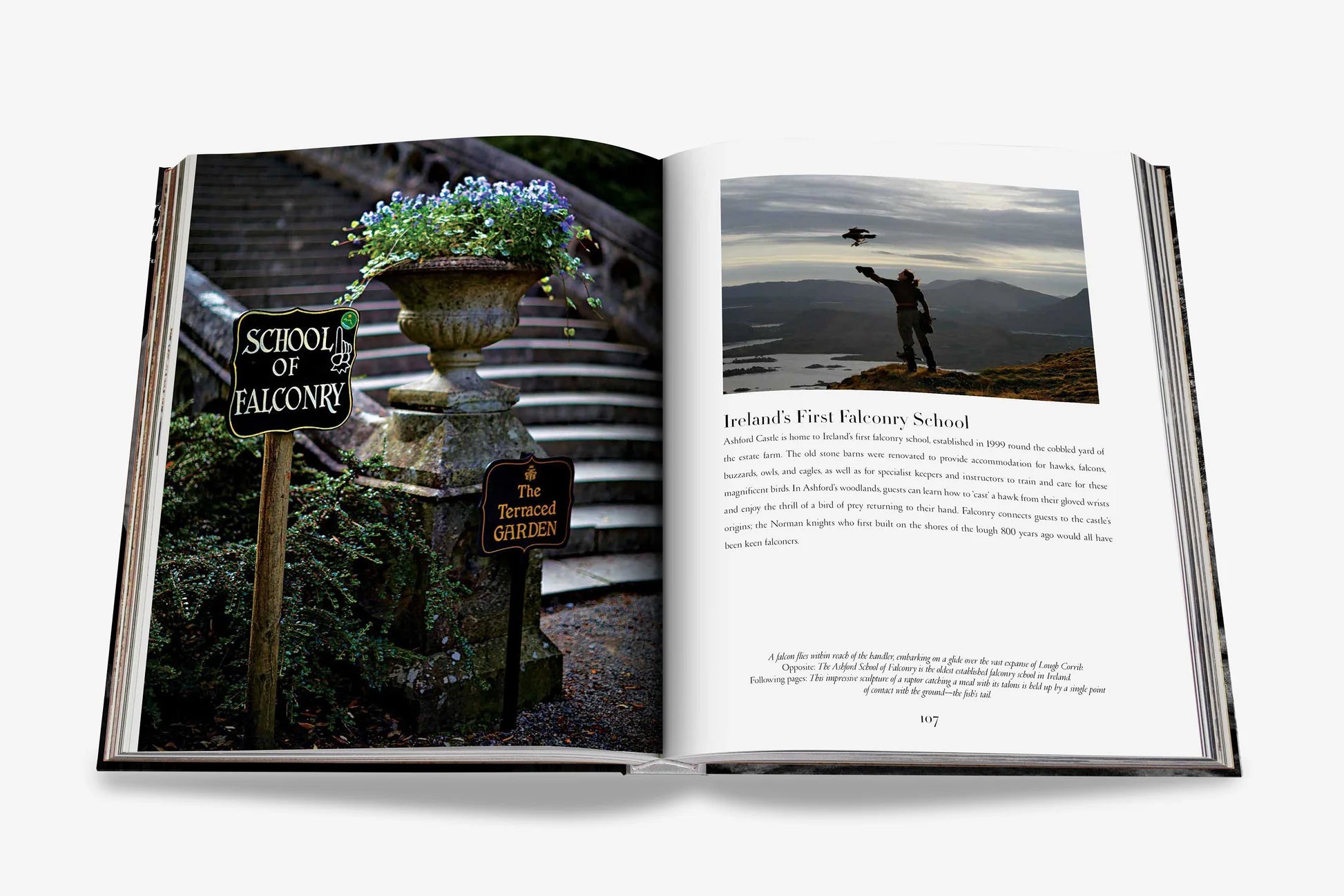 ASSOULINE Ashford Castle