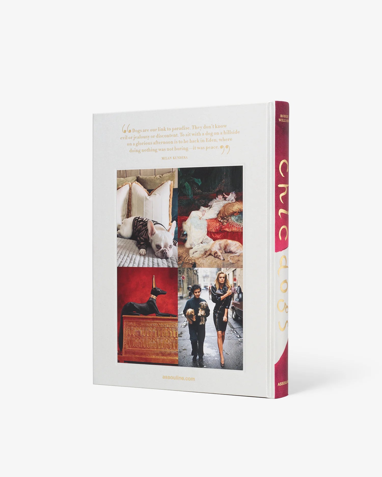 ASSOULINE CHIC DOGS