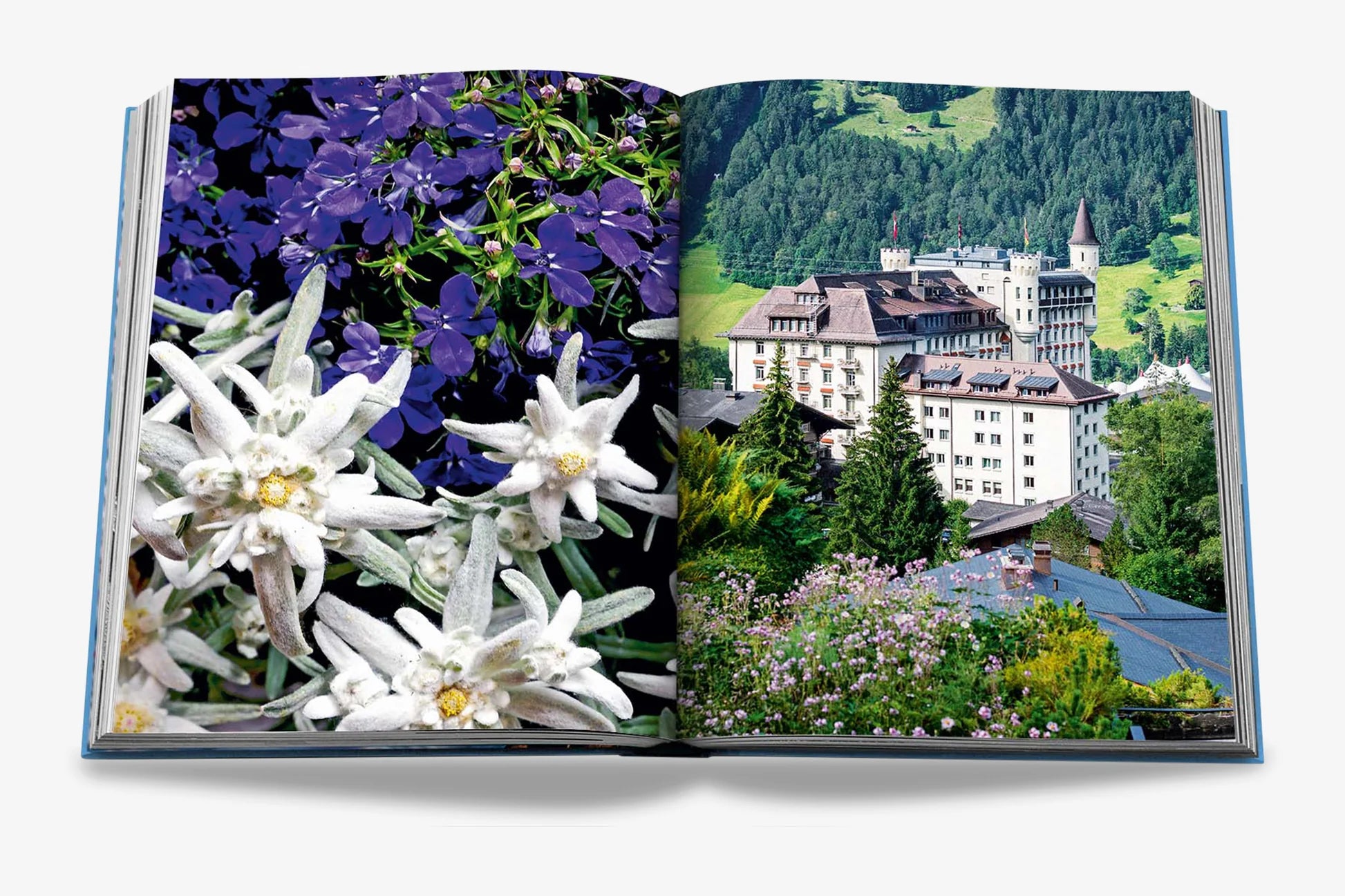 ASSOULINE Gstaad Glam