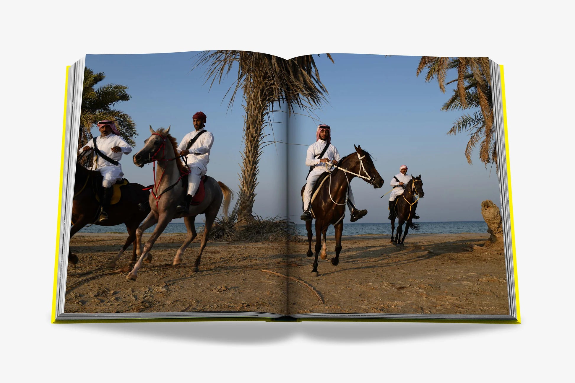 ASSOULINE Saudi Arabia: Al-Ahsa Oasis