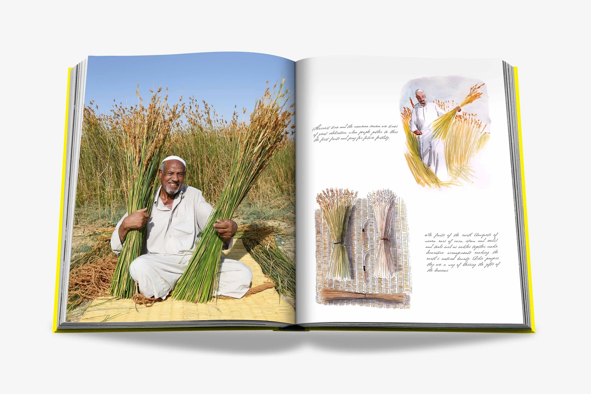 ASSOULINE Saudi Arabia: Al-Ahsa Oasis