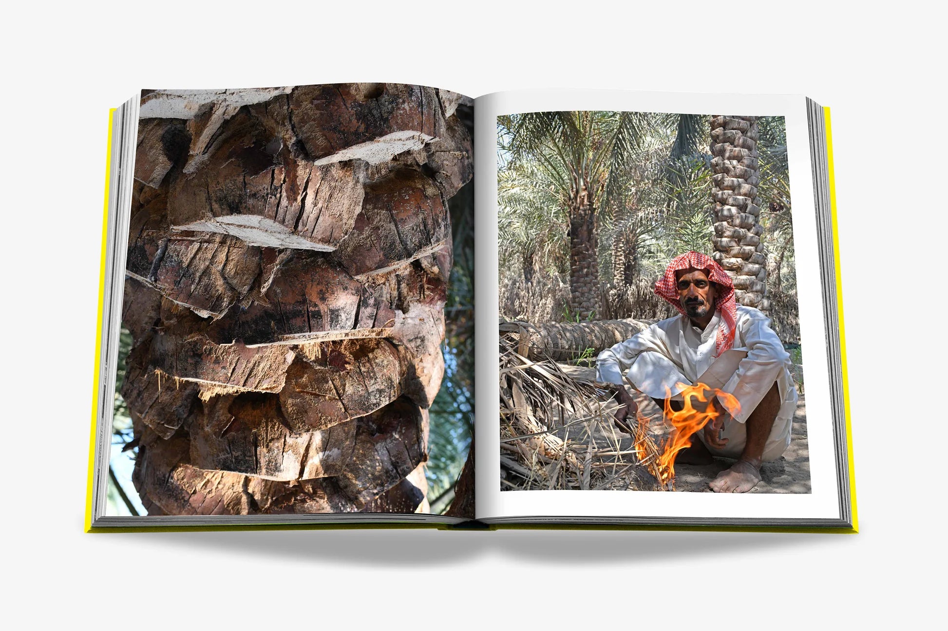ASSOULINE Saudi Arabia: Al-Ahsa Oasis