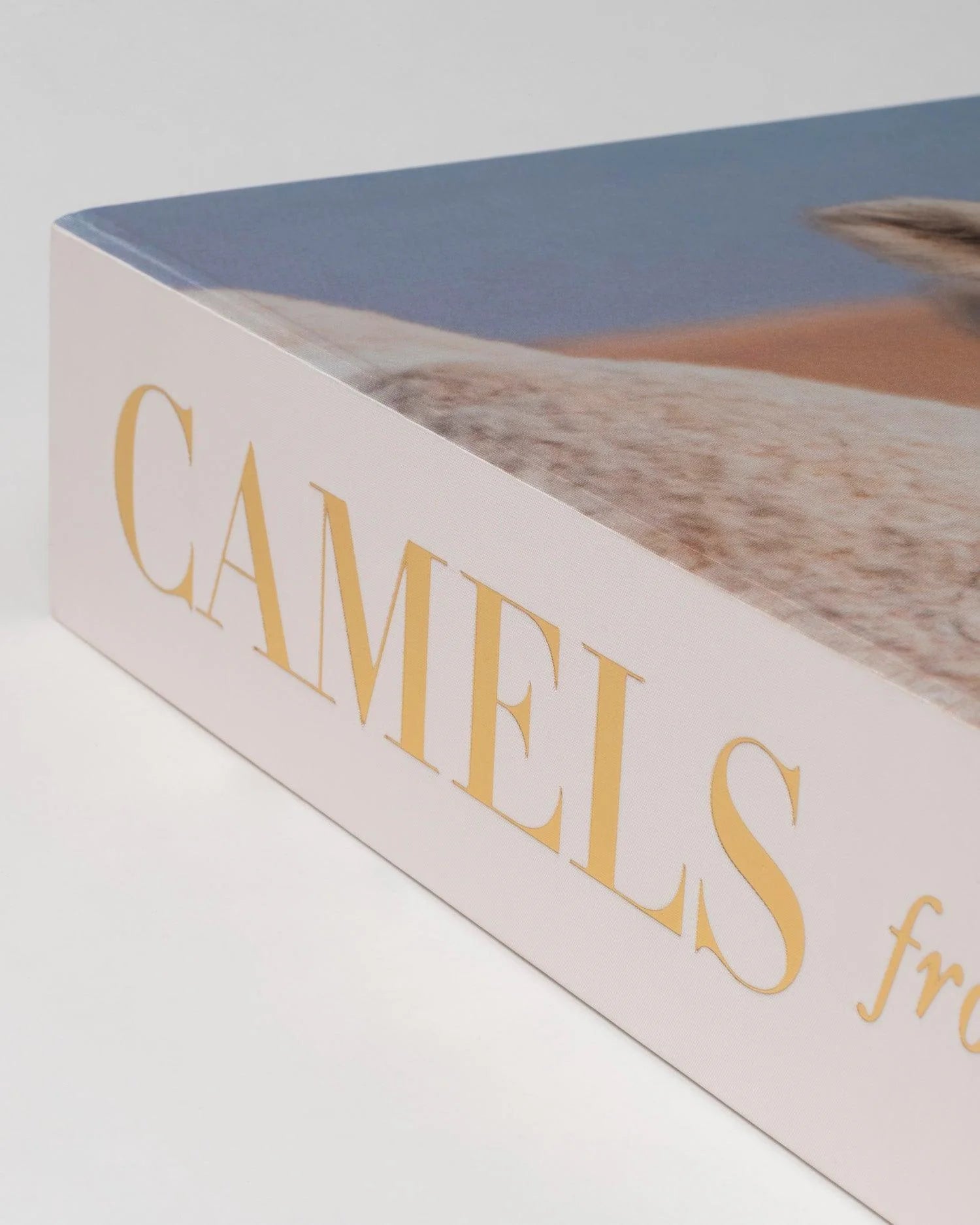ASSOULINE Camels from Saudi Arabia